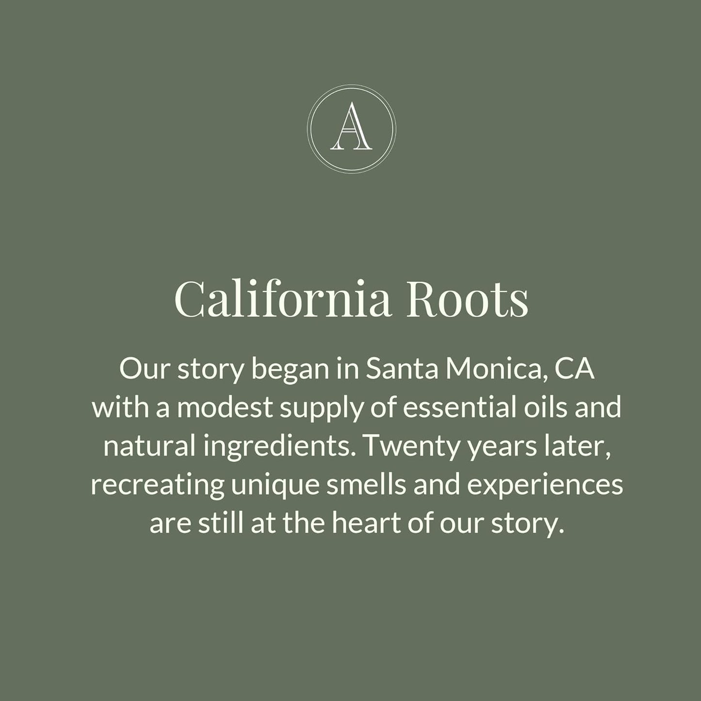 Archipelago Botanicals Black Honey Lotion, Hydrating Body Lotion for Dry Skin, Nourished and Healthy Skin Care, Paraben-Free, Phthalate-Free, 18 oz