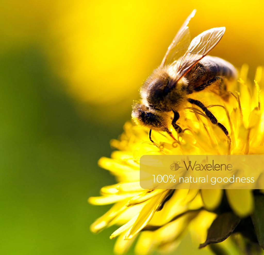 Waxelene Original Aerated Lip Balm Tin, Best Lip Balm Ever Organic Calming Multipurpose Ointment Baby Eczema Dry Sensitive Skin Body Face Moisturizer