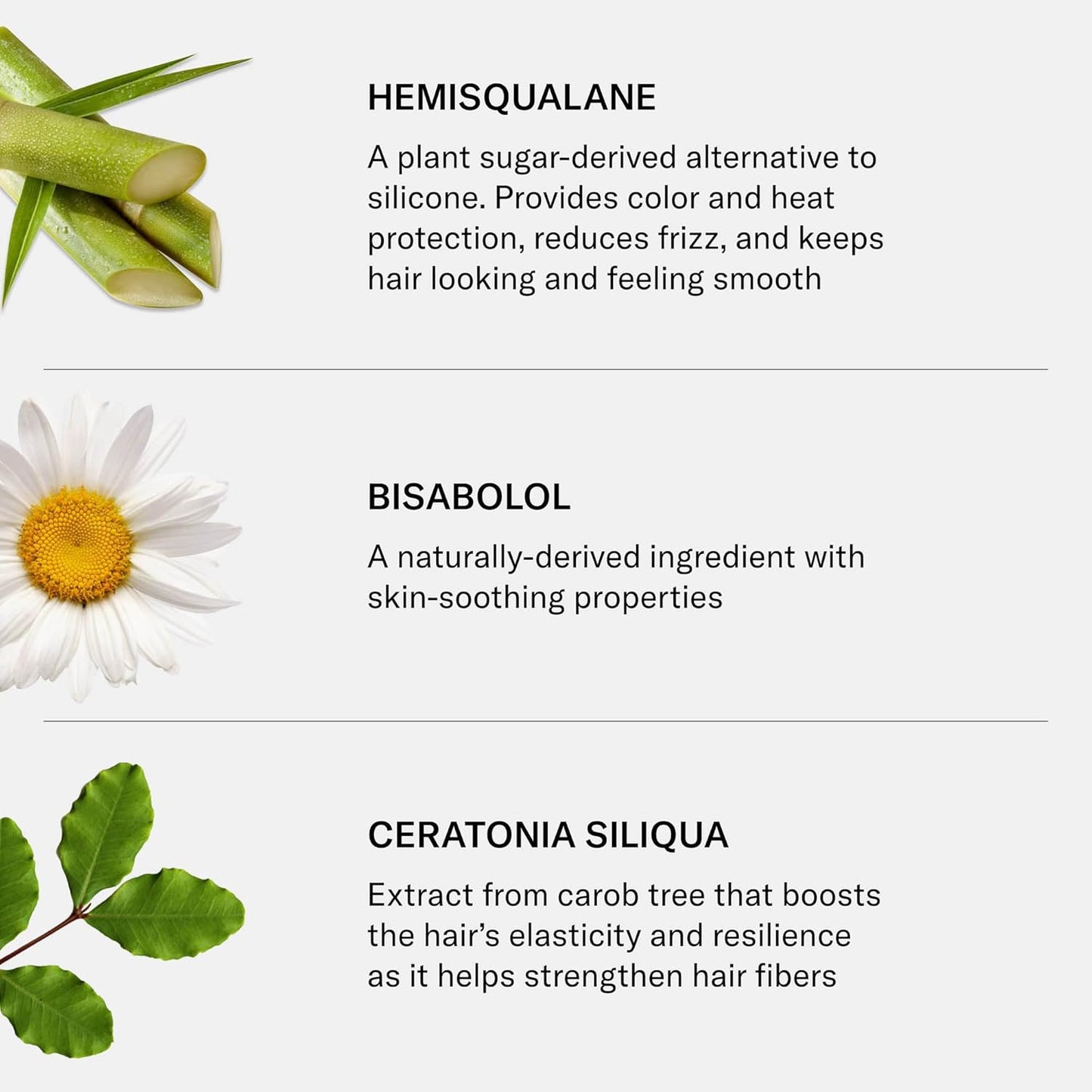 SEEN Curly Creme - Scented - Non-Comedogenic & Sulfate-Free Curl Defining Styling Hair Cream- Reduces Frizz- Heat Protectant- Safe for Sensitive Skin