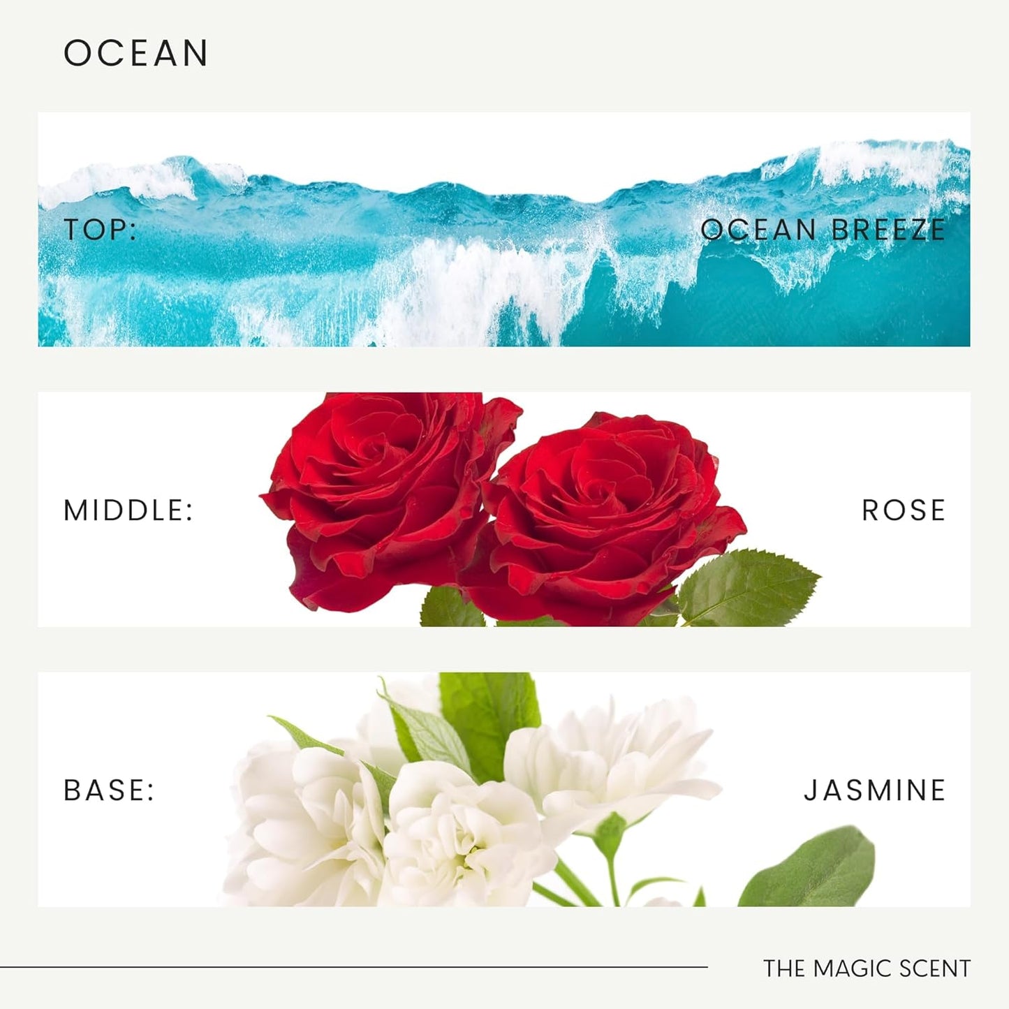 Ocean Diffuser Oil - Hotel & Home Luxury Scents Inspired by Bvlgari Resort, Bali - Oil Scents for Home Designed for Use in All Diffusers - 16.9 fl oz, 500 mL