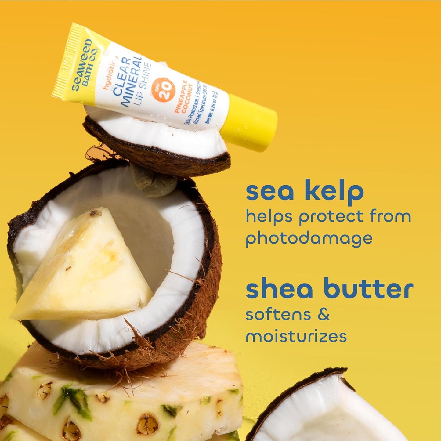 Seaweed Bath Co. Hydrating Clear Mineral Lip Shine SPF 20 Sunscreen Zinc Oxide Lip Balm, 0.28 Oz (6 Pack), Moisturizing Care for Dry, Chapped Lips