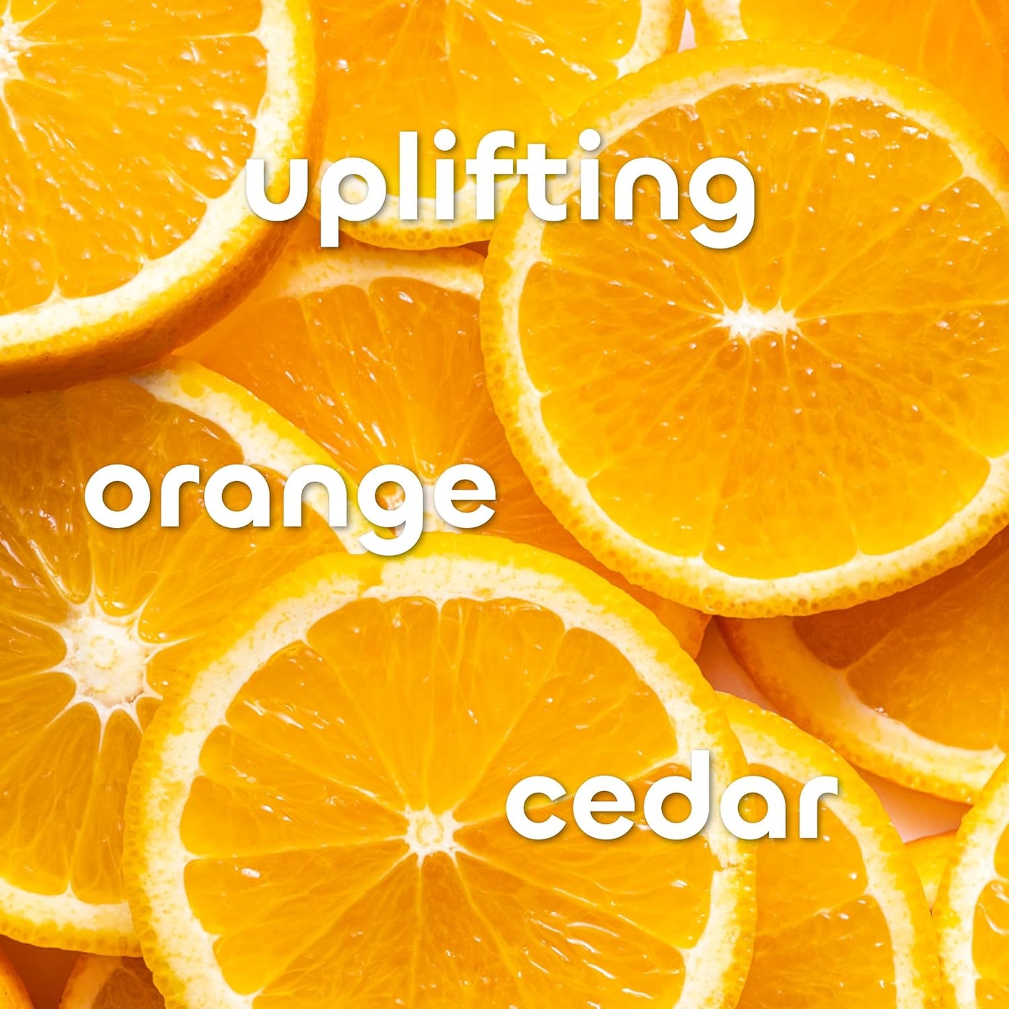 Seaweed Bath Co. Firming Body Cream, Orange Cedar Scent, 6 Ounce, Skin Toning Hand & Body Lotion Moisturizer for Dry Skin, with Sustainably Harvested Seaweed, Chlorella, Green Coffee Bean