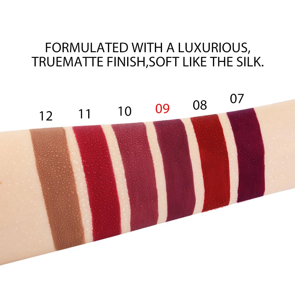 evpct 1Pcs Plum Wine Red Silky Velvet Matte Liquid Lipstick Lip Gloss Set for Women Long Lasting 24 Hours Color Stay Lipstick labiales matte larga duracion mate 24 horas originales 09#