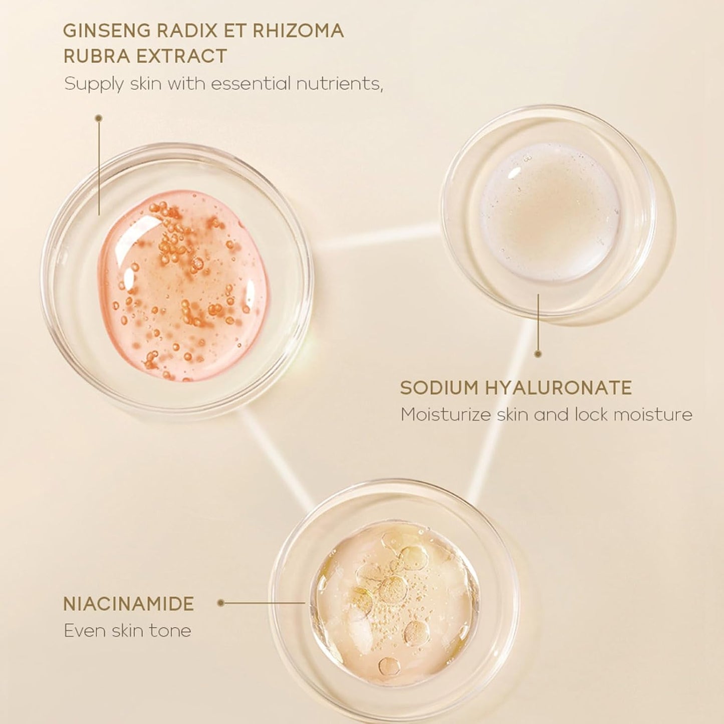 Snail Mucin Skin Care Set,Gold Snail Serum,Ginseng Snail Eye Cream,Snail Essence Cream 3 in 1 Essentials Travel,Improve Damaged Skin Lmproves Elasticity and Minimizes Pores(3pcs)