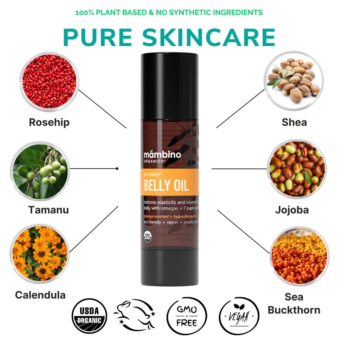 Mambino Organics Oh Baby! Belly Oil – Organic Elasticity Oil with Egyptian Calendula, Vietnamese Tamanu & Dutch Shea – Pregnancy Oil for Stretch Marks – Vegan Cruelty-Free Maternity Care, 2 fl oz