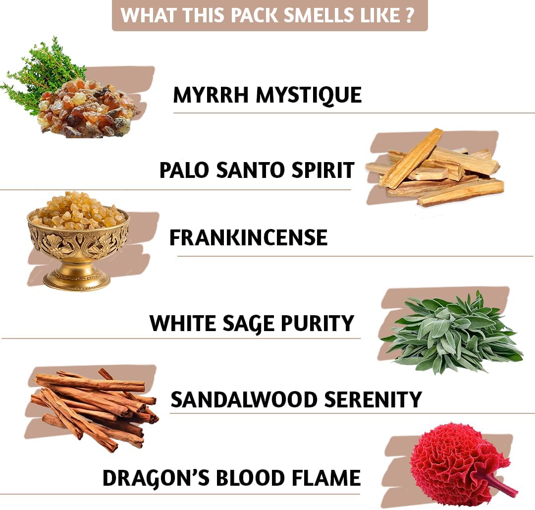 Folkulture Incense Cones Scented | Set of 6 (60 Cones) Pack for Relaxation | Palo Santo, Frankincense, White Sage, Sandalwood Inscents for Gifts for Her | Incense Cone Variety Pack