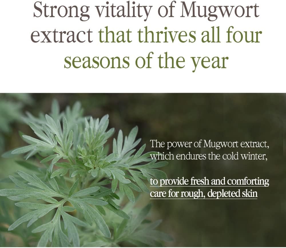 [PKY] Pyunkang Yul Black Tea Deep Infusion Toner for Anti-Aging, Rich Moisture Toner for Fine Line Care & Firmer Facial Skin, Zero-Irritation, Korean Skincare (4.39 Fl. Oz, 130ml)