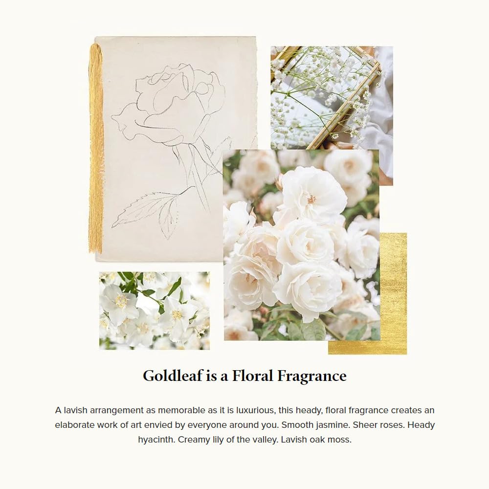 Thymes Goldleaf Perfumed Body Crème - Moisturizing Body Cream - Shea Butter Body Lotion with Vitamin E, jojoba Oil, and Honey for Skin Care Routine - Body and Hand Lotion for Women & Men (9.25 fl oz)