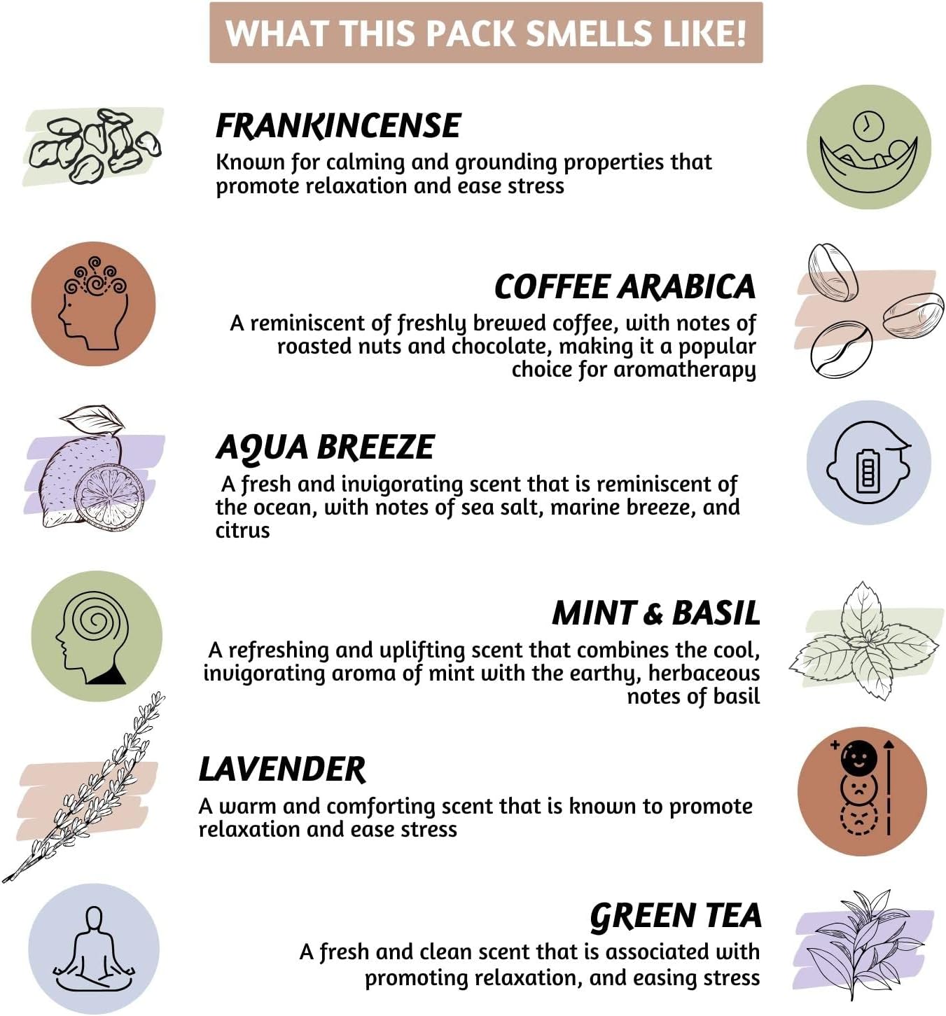 Folkulture Backflow Incense Cones for Waterfall | Set of 6 Waterfall Incense Cones for Gifts for Her | Aqua Breeze, Mint & Basil, Lavender, Green Tea Inscents-Cones (Manifesting)