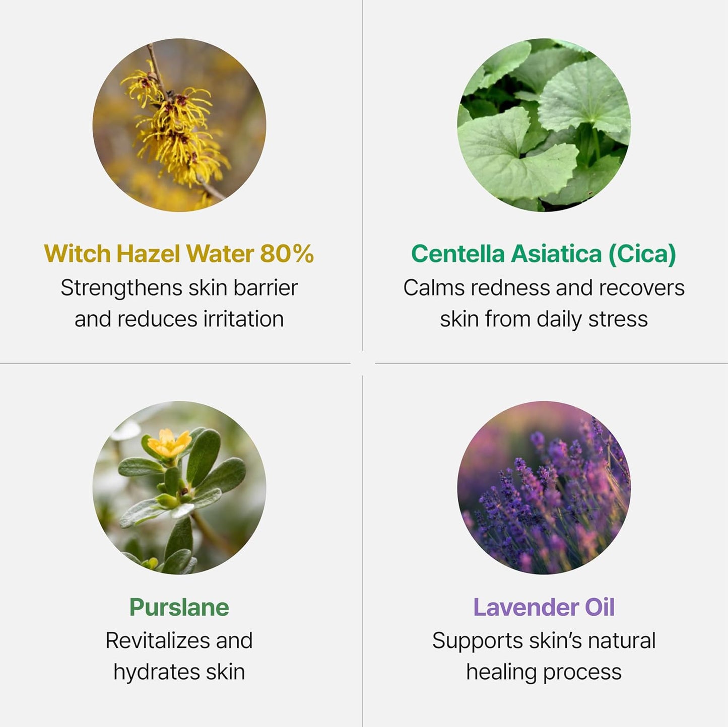 Silver Frost Mist - Facial Barrier Toner Spray with 80% Witch Hazel Water, Cica for Skin Barrier Repair, Recovery for Sensitive Skin, Dewy Hydration, Korean Skin Care (1.69 fl oz)