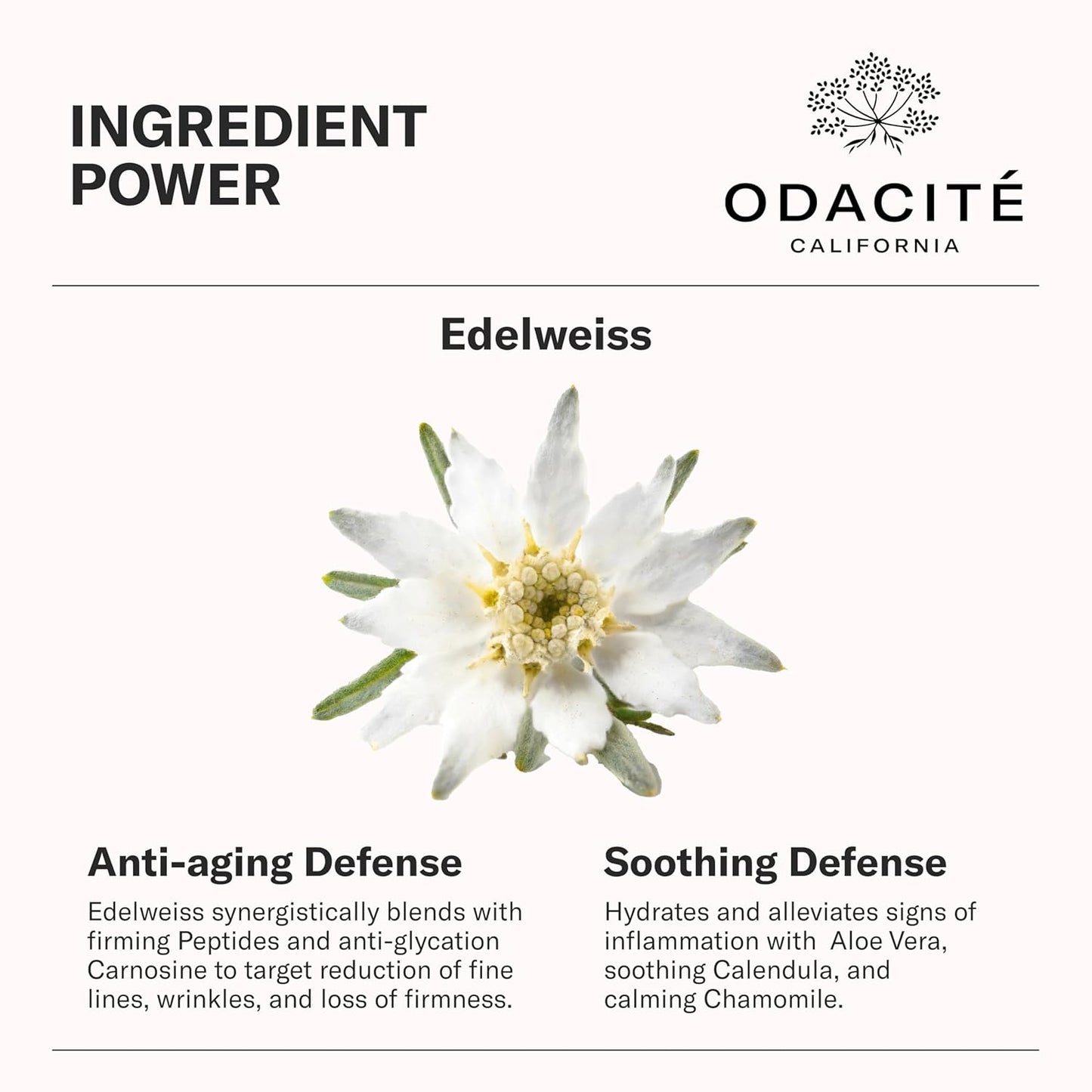 Edelweiss Extrême® Derm-Restore Super Serum