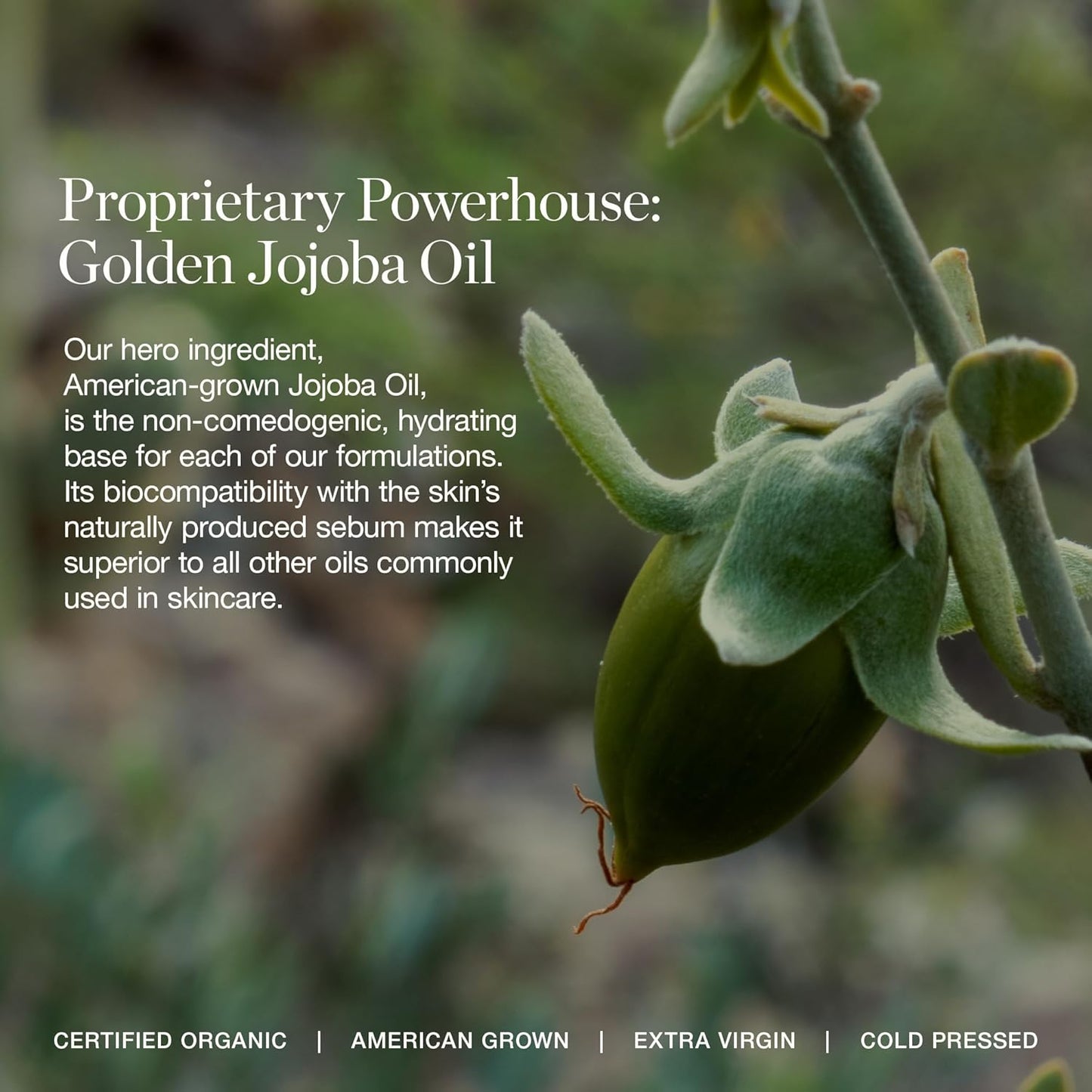 Ogee Complexion Perfecting Under Eye Concealer - Certified Organic Full Coverage Concealer - Buildable Coverage - JUNIPER 3.25W - Medium Light Tan (Olive Undertones)