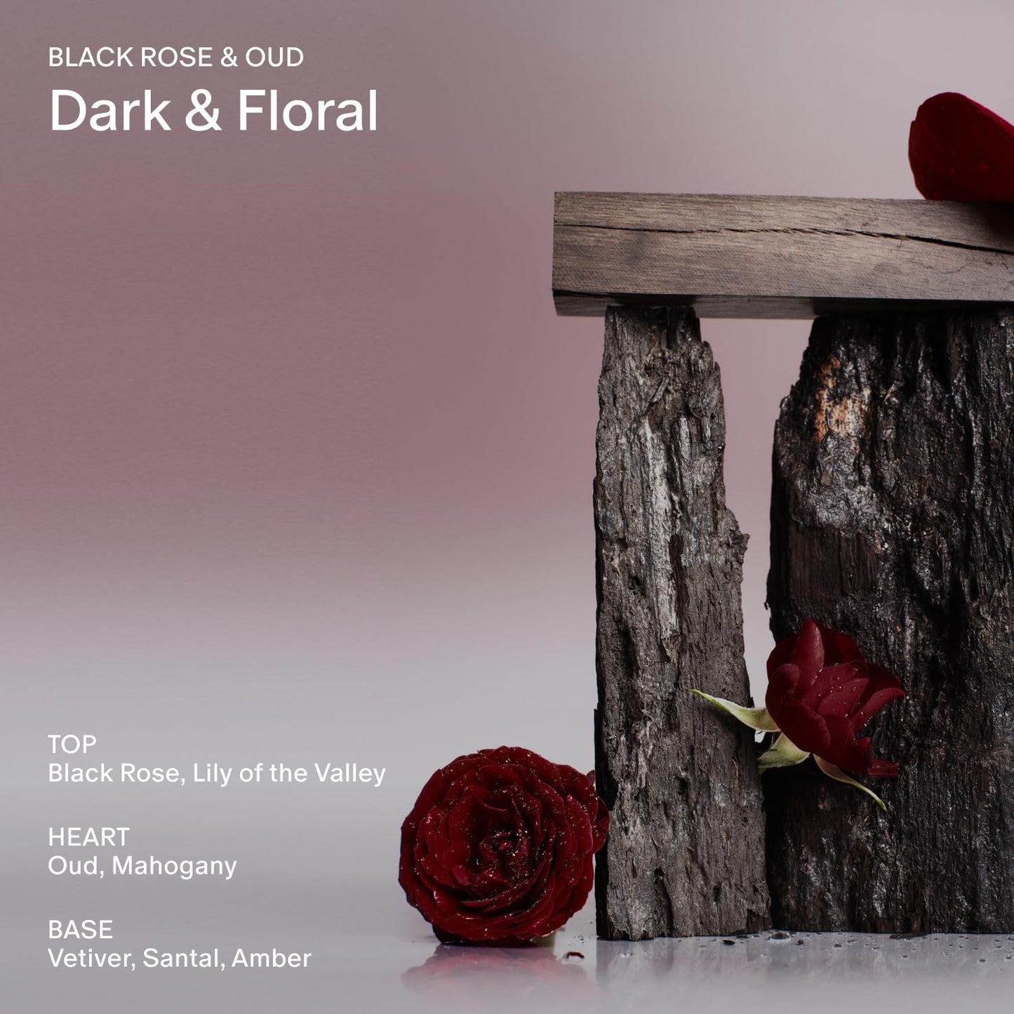 Salt & Stone Body Lotion for Women & Men| Scented Daily Body Lotion | Hydrates, Nourishes & Softens Skin | Restores Dry Skin | Fast-Absorbing | Cruelty-Free & Vegan (450 ml) (Black Rose & Oud)