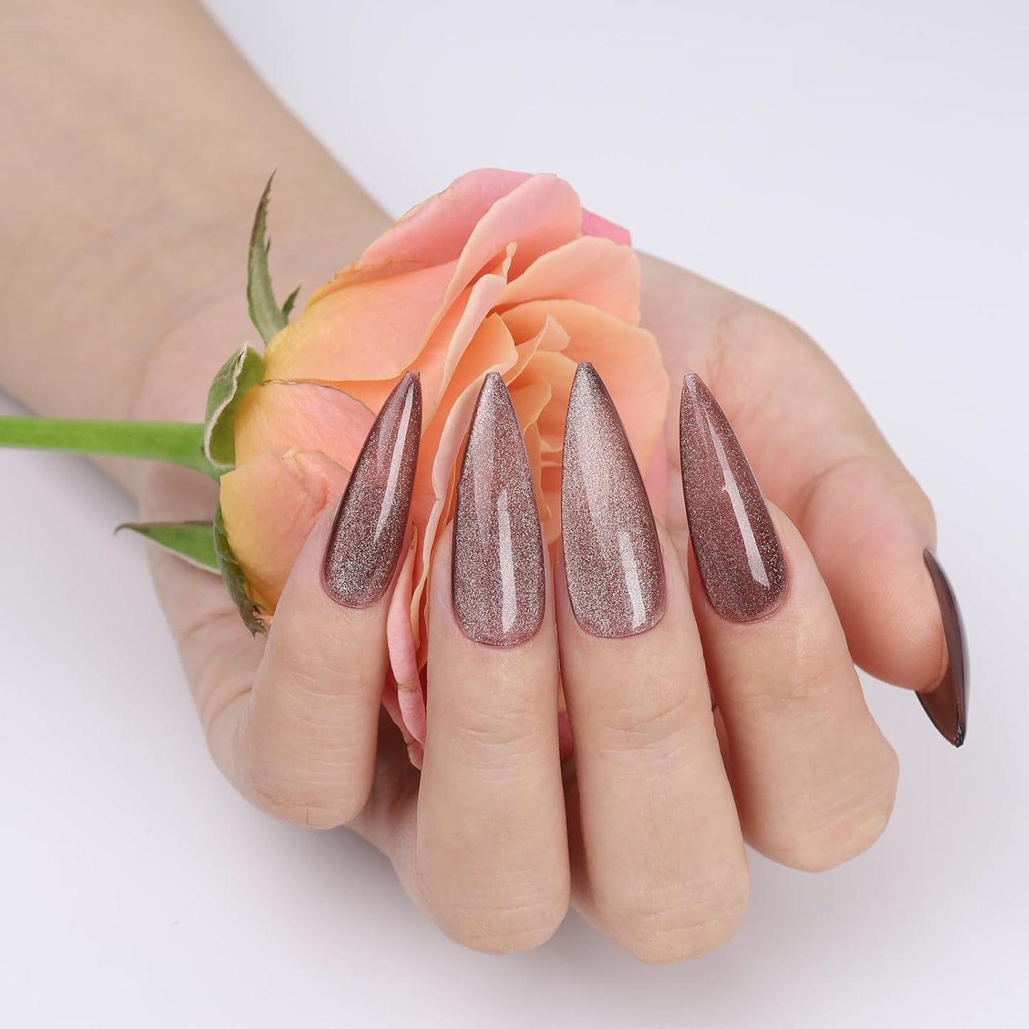 Cat Eye Gel Nail Polish, Crystal Galaxy Holographic Brown Cateye Gel Polish with Magnet, Silver Shimmer Glitter Velvet Soak Off UV LED Home Diy Manicure Fall Winter Colors GP0101