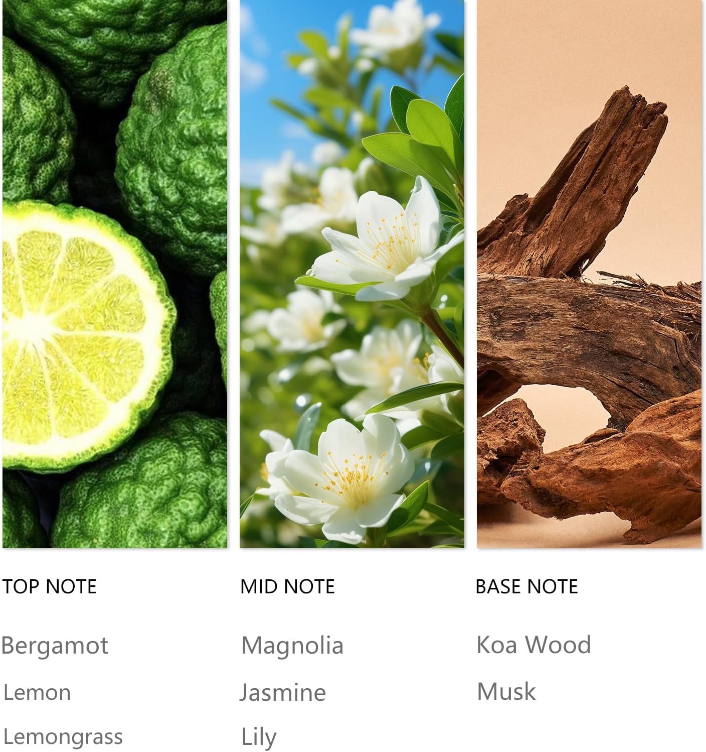 Hotel Bergamot Essential Oil - 120ML Waterless Scent Oil for Cold Air Diffusers, Luxury Aroma Fragrance Oils for Home, Spa & Office-Long Lasting Aromatic Oil for Waterless Diffusers