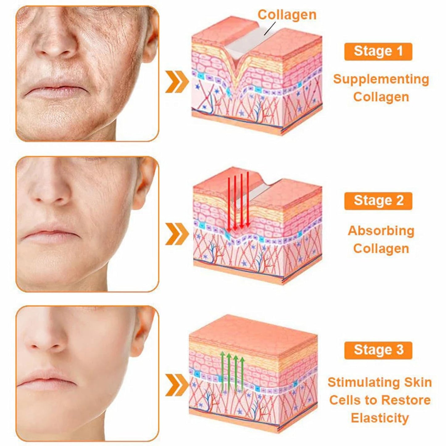 LipMaps Bee Venom skin Restoration Cream,Bee Venom Skin Treatment Cream,Deeply Moisturizing and Firming for All skin Types(3PCS)