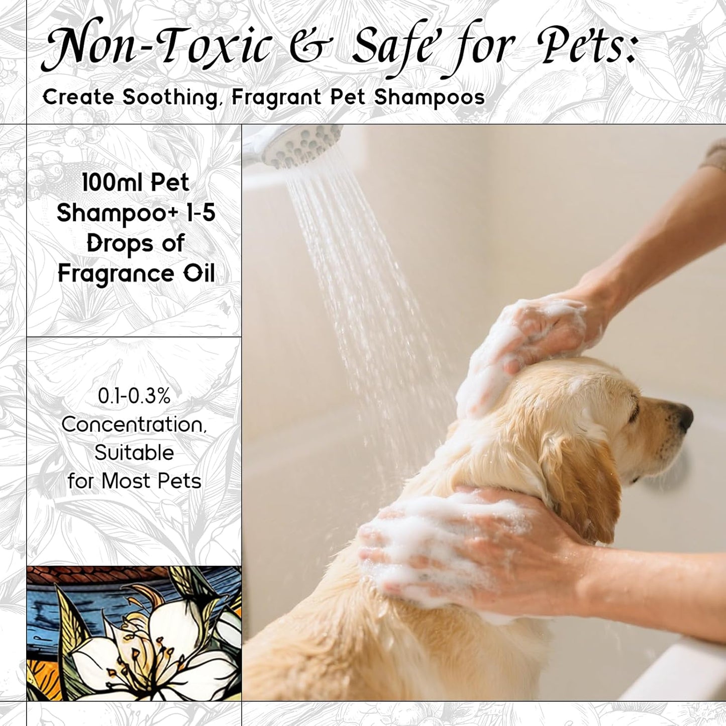 HIQILI Camellia and Orchid Fragrance Oil for Candle, Soap and Perfume Making, Add to Shampoo & Body Lotion, Floral Scents- 5.07 Fl Oz