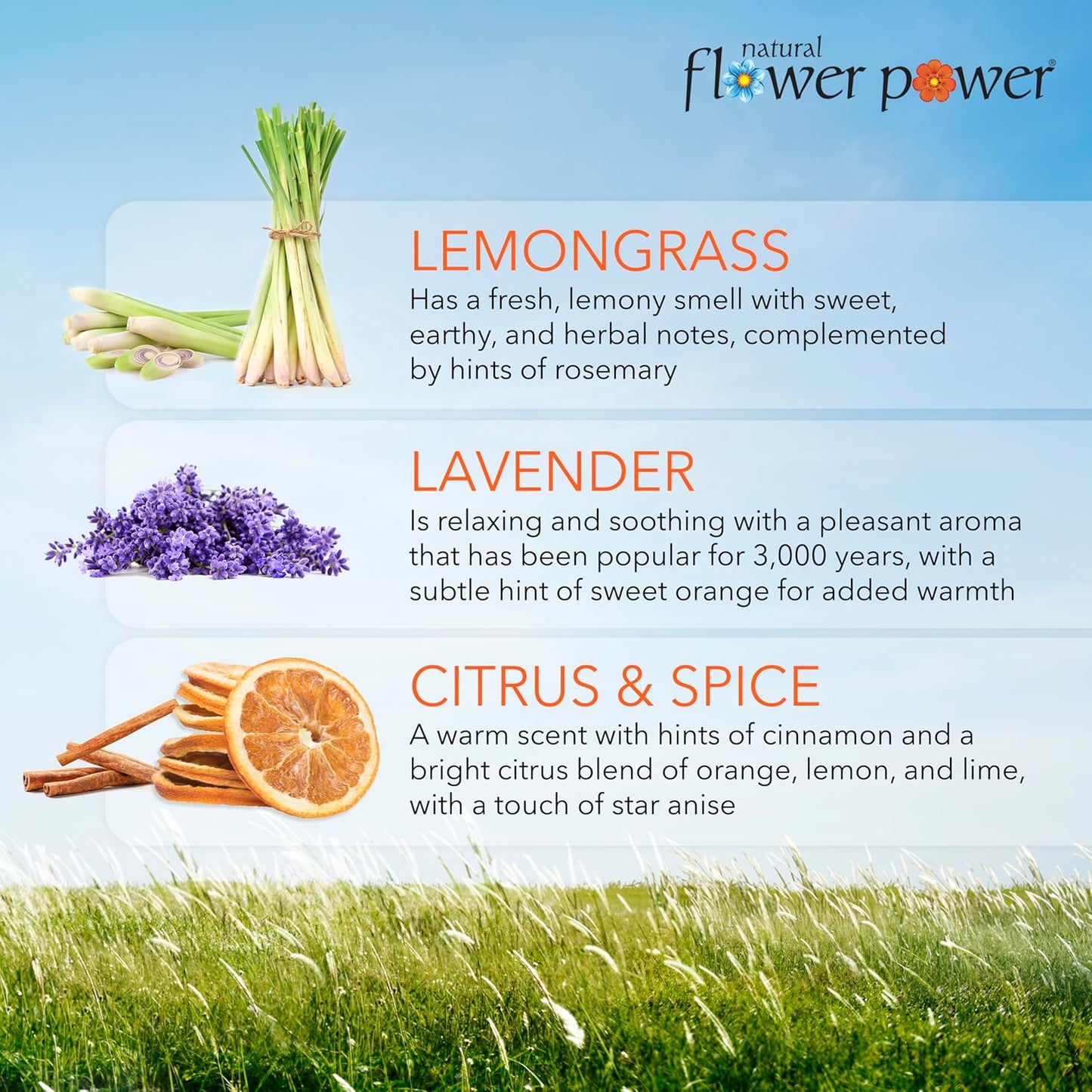 Air Freshener Spray Refills - Odor Eliminator w/Essential Oils - Home, Car & Fabric - Cruelty Free & Vegan - Variety Pack - Citrus & Spice, Lavender, Lemongrass - 3 x 16 fl oz