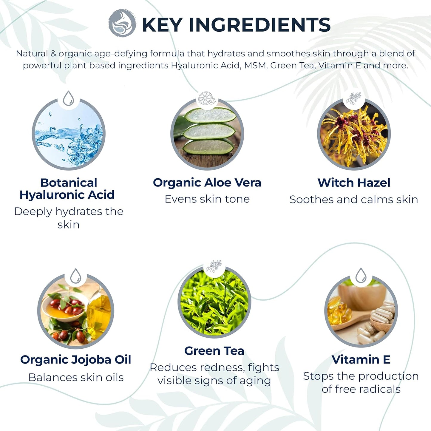 Hyaluronic Acid Face Serum - Hydrating Anti Wrinkle Anti Aging Facial Serum - With Vitamin C and E, Green Tea, Jojoba Oil - Natural and Organic - 1 Oz by Foxbrim Naturals