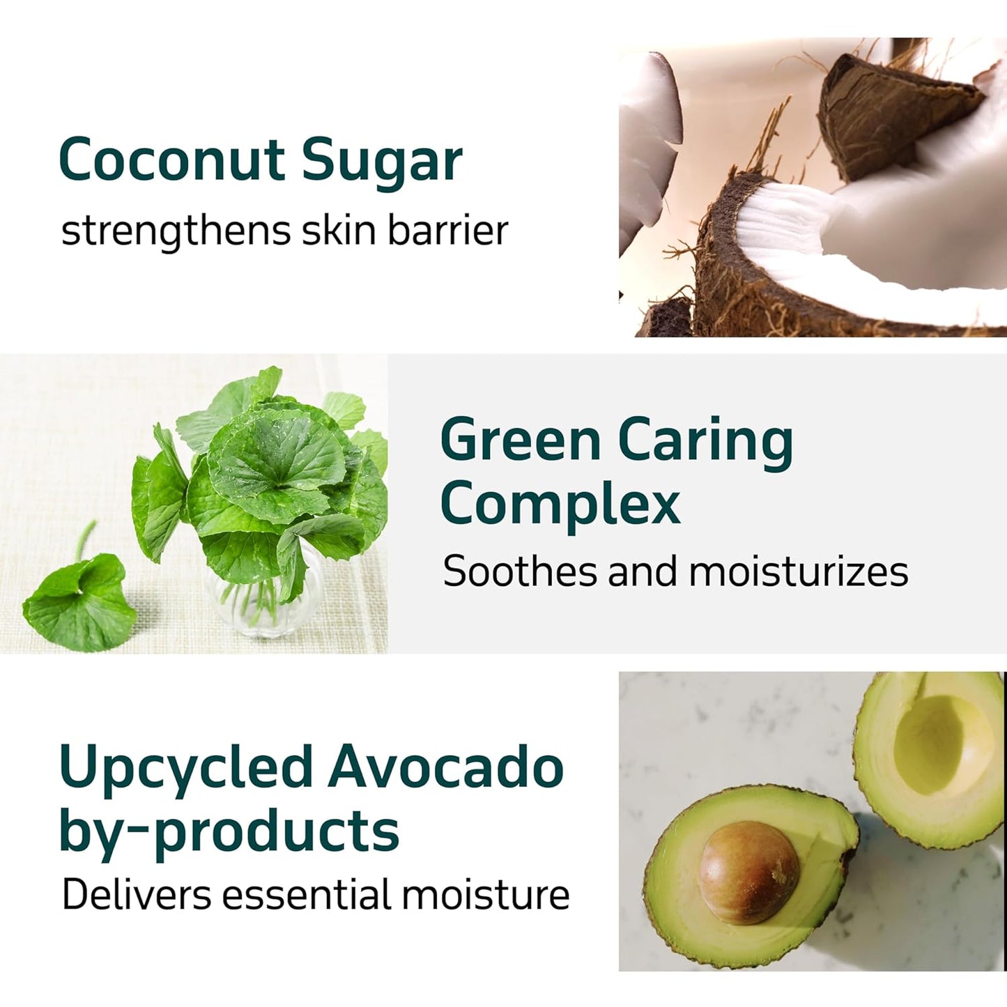 Dr. Bio Greenery Lip Care Balm (0.28oz/8g)| Hydrating Relief Balm for Dry, Chapped Lips | Lip Treatment with Natural Oils & Probiotics | Lip Moisturizer Repair Stick | Vegan Korean Skin Care | 2 Tubes