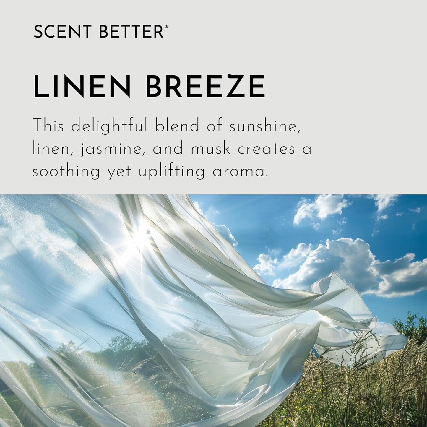 Scent Better Linen Breeze Aroma Essential Oil Blend: an Aromatherapy Blend of Linen, Jasmine, and Musk for Ultrasonic Diffusers & Nebulizers (2 Fl Oz, 60 mL)