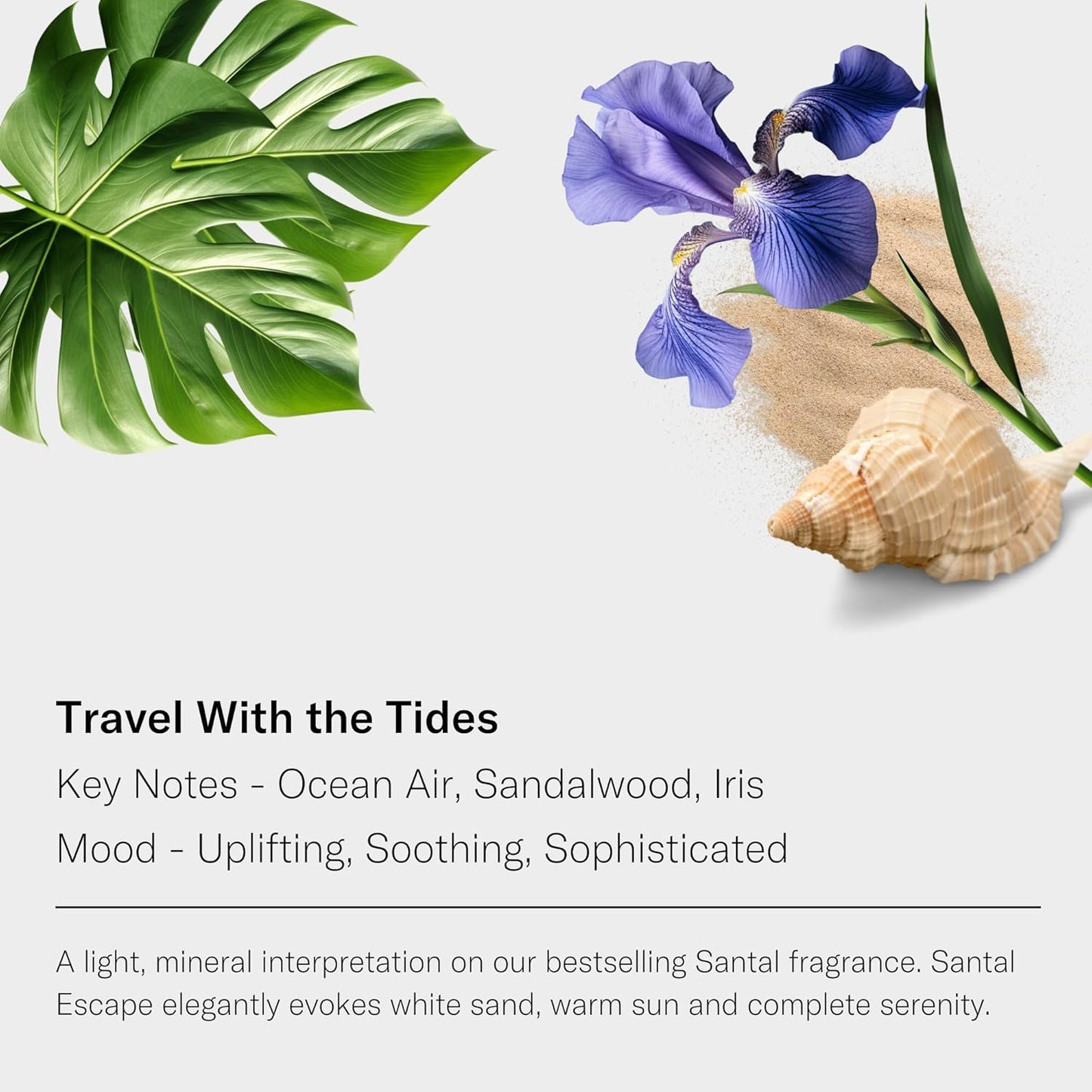 AromaTech Santal Escape Premium Aroma Oil – Uplifting & Sophisticated Home Fragrance with Notes of Sandalwood, Iris & Ocean Air for Scent Diffusers, Cold-Air and UltraSonic Scent Machines – 60 mL