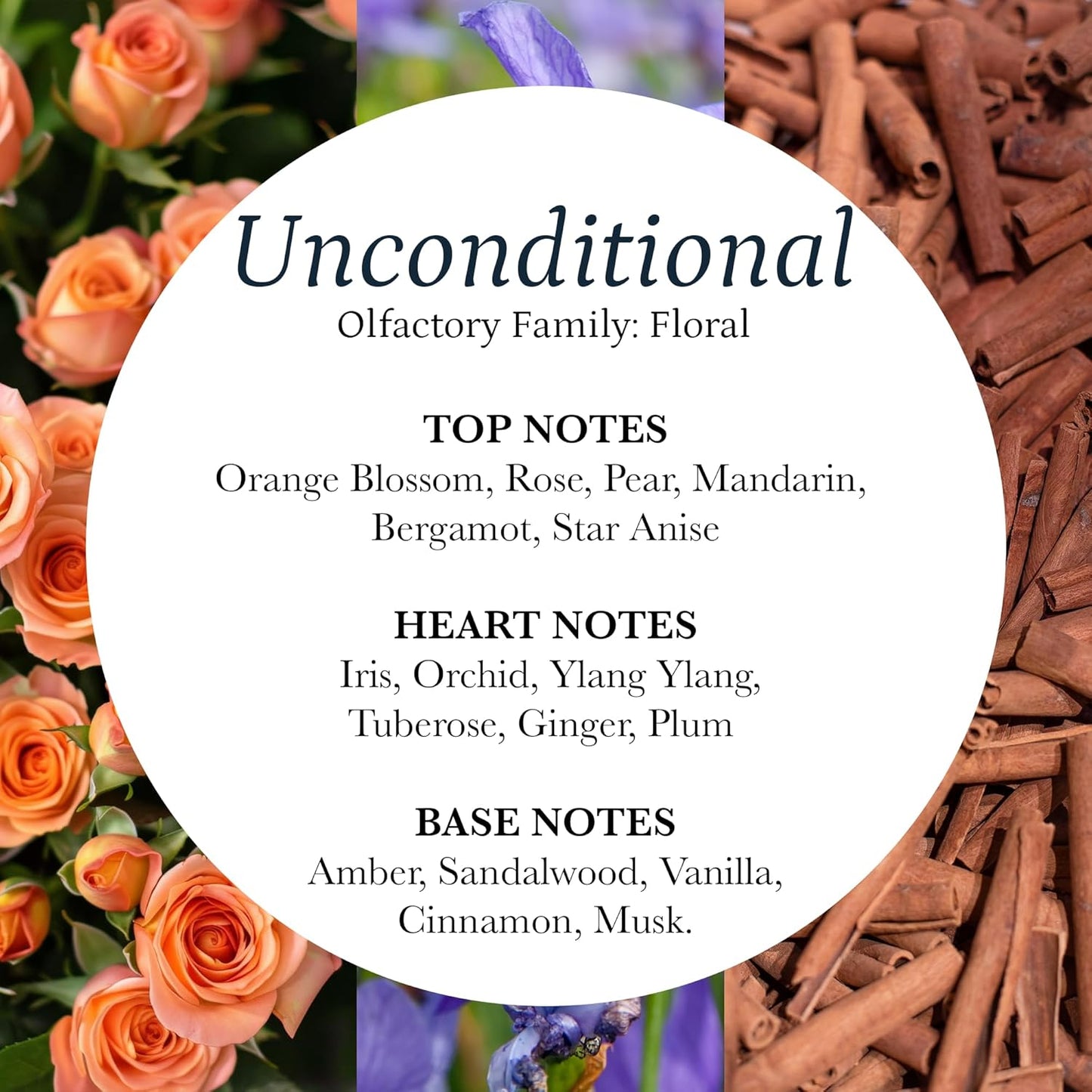 PuroSentido Unconventional Aroma Oil (10 ml) - Luxury Fragrance Oil for Diffusers and Humidifiers, Mint, Lavender, Cinnamon & Vanilla Home, Hotel & Spa Scent