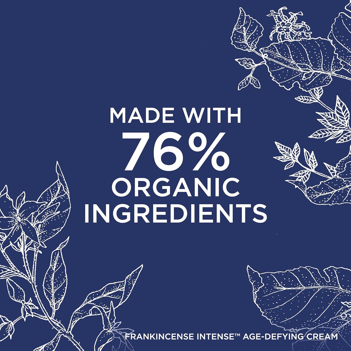 Neal's Yard Frankincense Intense Age Defying Cream with Carnauba Wax, Smoothes & Plumps Fine Lines & Wrinkles, Cruelty-Free, 50g