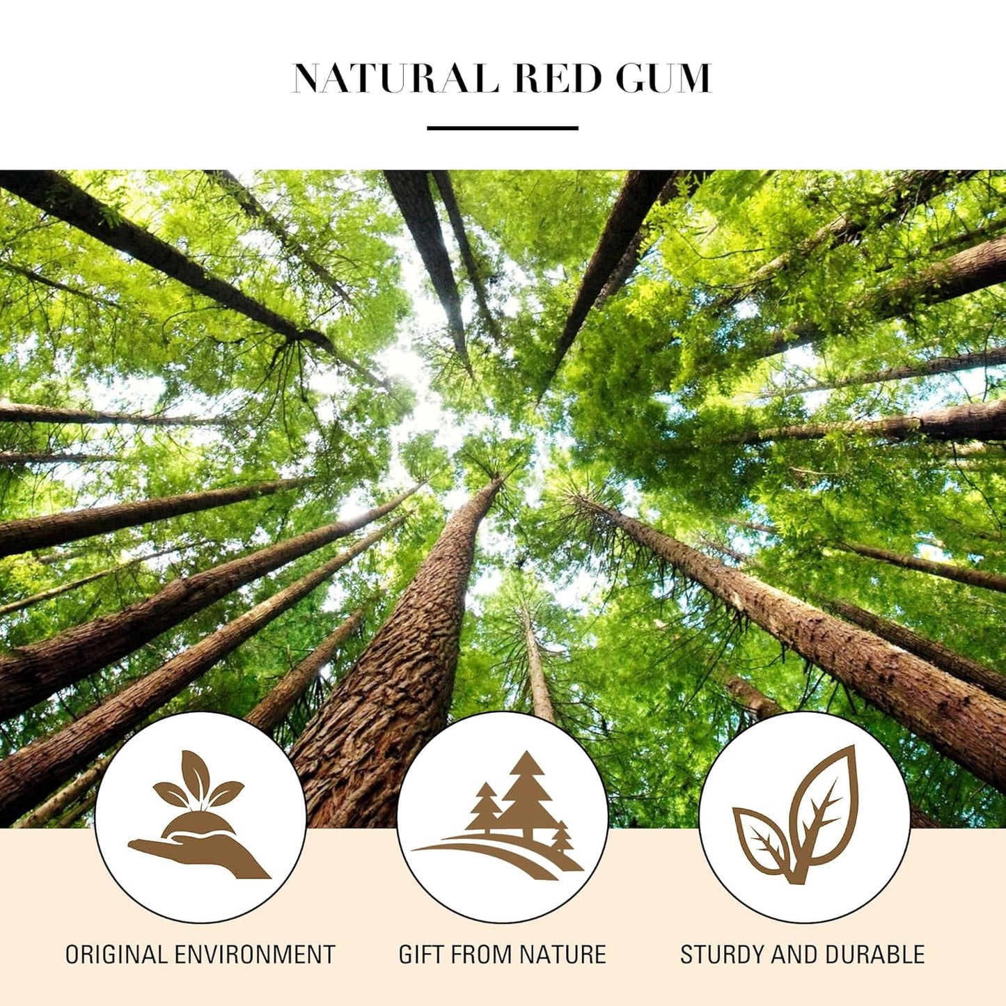 Bamboo Hair Brush for Hair Growth – Natural Bamboo Bristles Detangling & Scalp Massage – Ergonomic Wooden Handle – All Hair Types, Women, Men & Kids